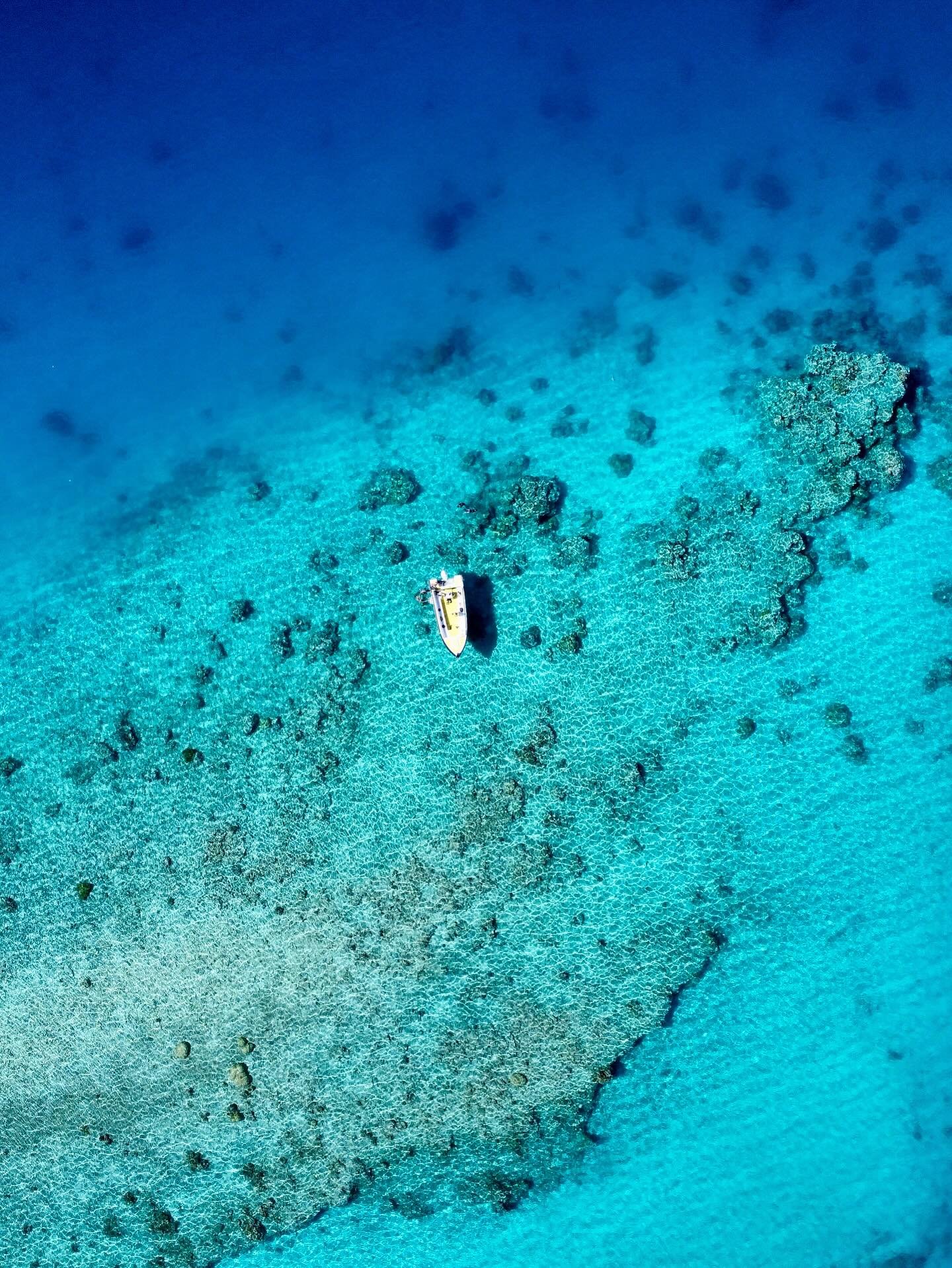 Allez viens ! Aujourd’hui on t’amène faire du snorkeling la !
#fakarava #tuamotu #fish #coral #sharks #nudibranches #snorkeling #amazing #raimiti #naturelover