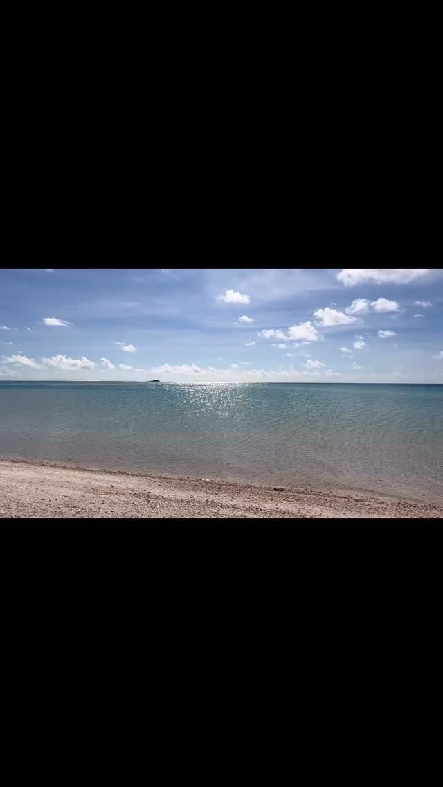Sortie Wake-board pour les enfants sur un lagon scintillant ✨ 
#wakeboard #slide #surf #fakarava #tuamotu #raimiti #lodge