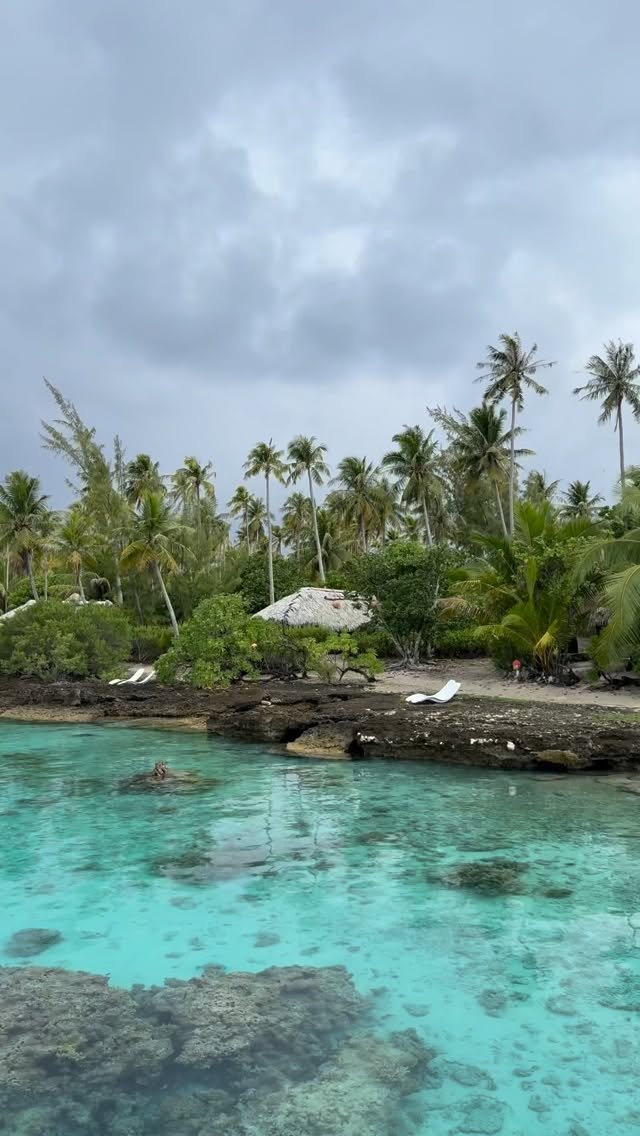 Kura Ora Kotou 
En admiration devant tant de beauté 😍
Superbe spectacle au bout du ponton du jour 🐠🐟🐠
Entre les Carangues (Paihere), les Becs de Cane (Meko), les poissons Job (Utu) et les poissons Crocodiles (Kakavere) le banc de chinchard (Komene) ne savait plus trop où se cacher ….🙈 
Ps : admirer c’est parfois mieux que de pêcher 😉
#fakaravasouth #tuamotu #ocean #raimiti #fish #mauruuru