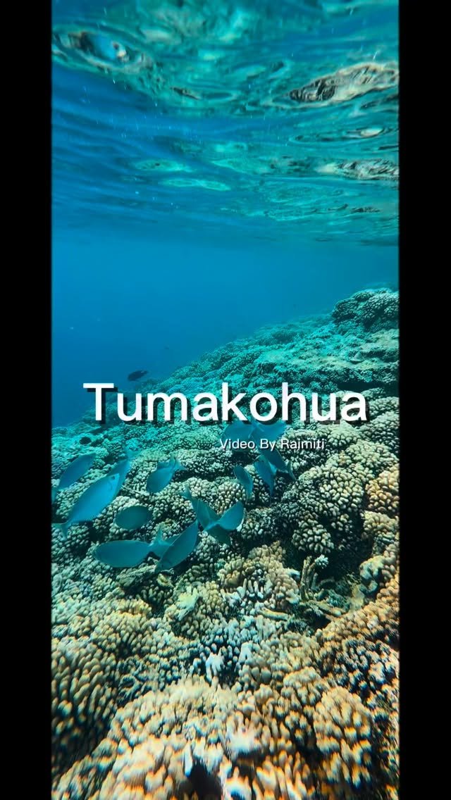 Encore un « plouf » féerique …. On ne s’en lasse pas 💙
#snorkeling #butterfly #fish #fakarava #raimiti