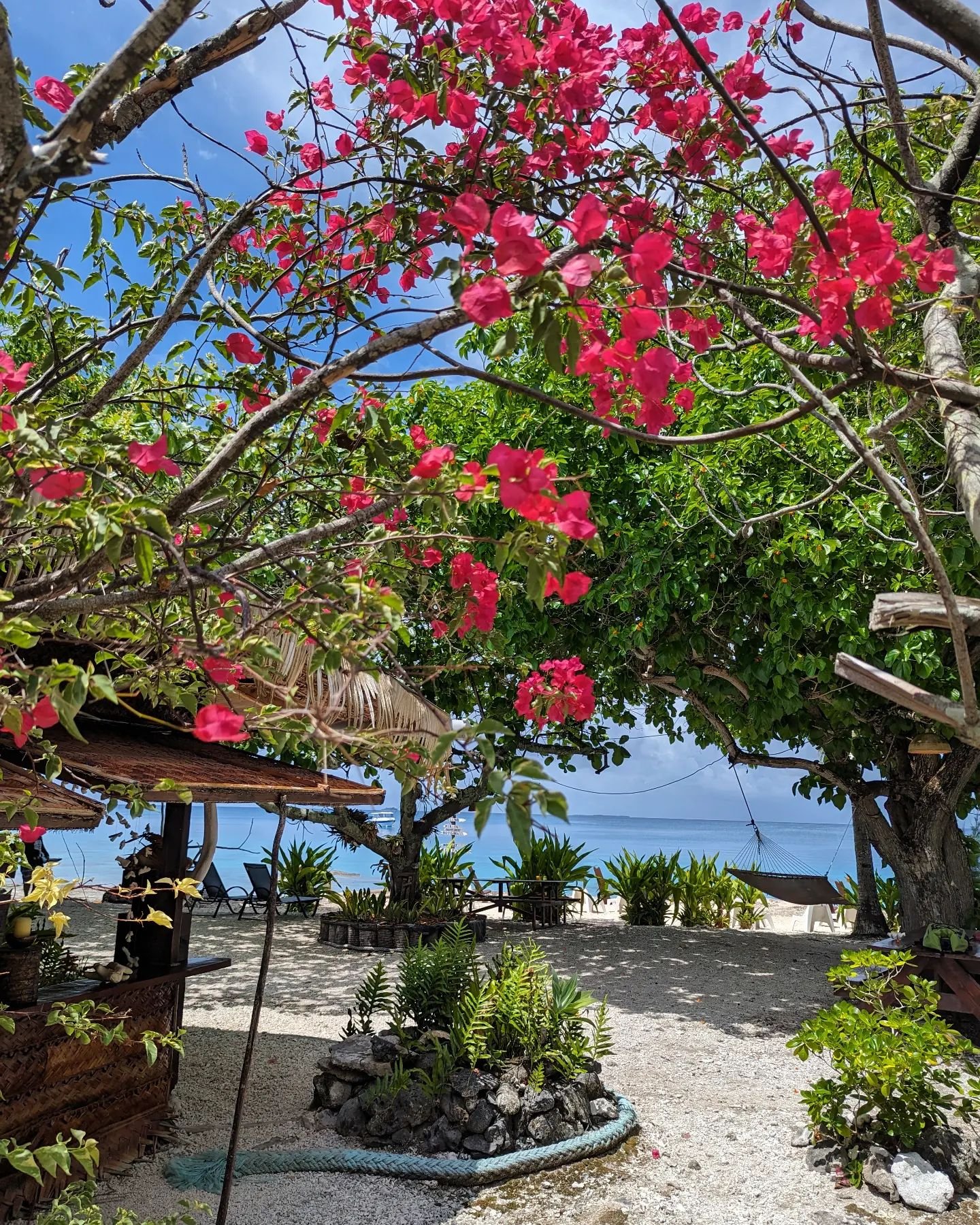 Le lundi au soleil 🎶🎵
#enjoy #fakarava #raimiti #tuamotu #colors