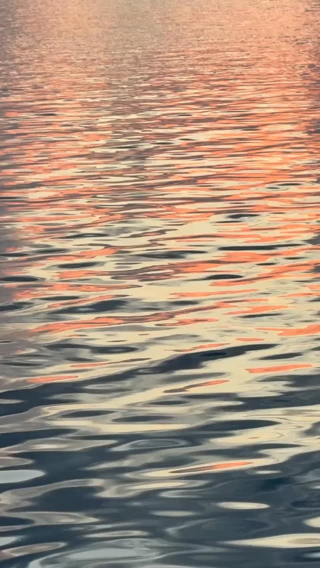 💛🧡☀️ tendresse du motu 
#sunset #fakarava #raimiti #frenchpolynesia #raimiti